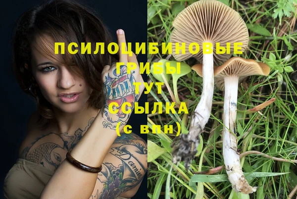 марихуана Нефтекумск